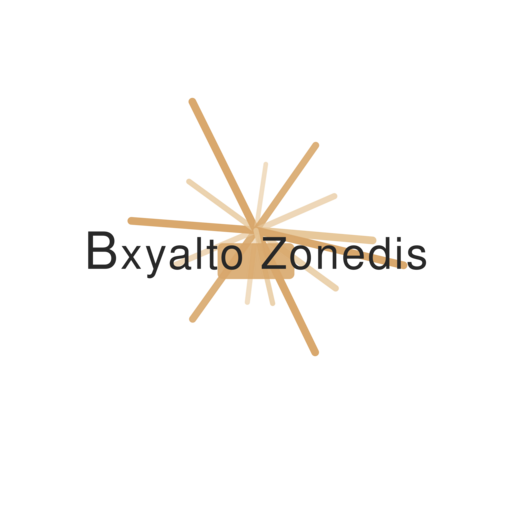 Bxyalto Zonedis Logo